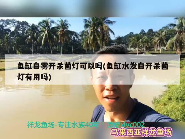 魚缸白霧開殺菌燈可以嗎(魚缸水發(fā)白開殺菌燈有用嗎) 大白鯊魚苗