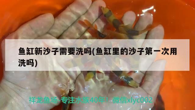 魚缸新沙子需要洗嗎(魚缸里的沙子第一次用洗嗎)