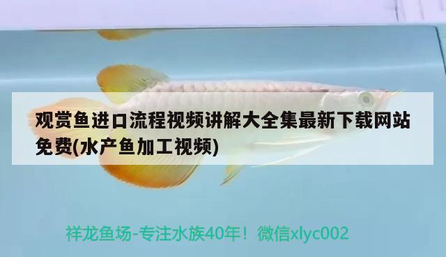 觀賞魚進口流程視頻講解大全集最新下載網站免費(水產魚加工視頻) 觀賞魚進出口