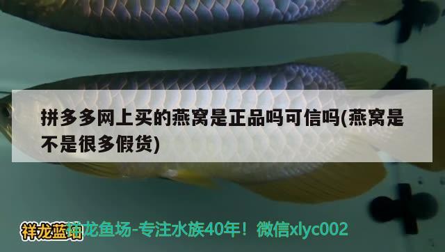 拼多多網(wǎng)上買的燕窩是正品嗎可信嗎(燕窩是不是很多假貨) 馬來西亞燕窩