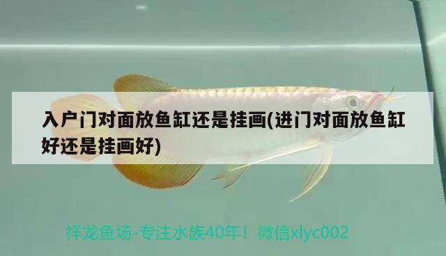 入戶門對(duì)面放魚缸還是掛畫(進(jìn)門對(duì)面放魚缸好還是掛畫好) 紅尾平克魚