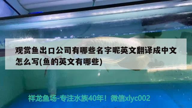 觀賞魚出口公司有哪些名字呢英文翻譯成中文怎么寫(魚的英文有哪些) 觀賞魚進出口