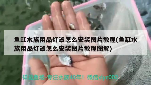 魚缸水族用品燈罩怎么安裝圖片教程(魚缸水族用品燈罩怎么安裝圖片教程圖解) 水族用品