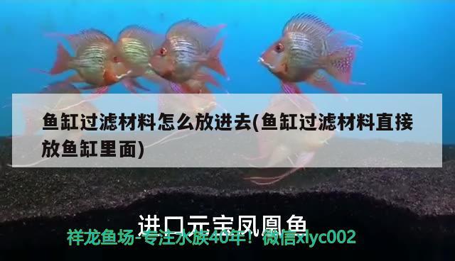 魚(yú)缸過(guò)濾材料怎么放進(jìn)去(魚(yú)缸過(guò)濾材料直接放魚(yú)缸里面) 月光鴨嘴魚(yú)