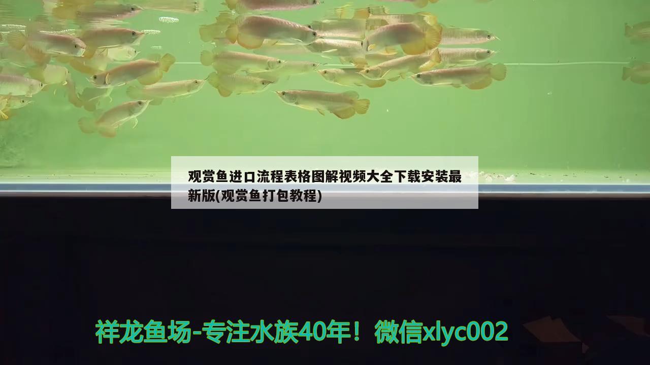 觀賞魚進(jìn)口流程表格圖解視頻大全下載安裝最新版(觀賞魚打包教程) 觀賞魚進(jìn)出口