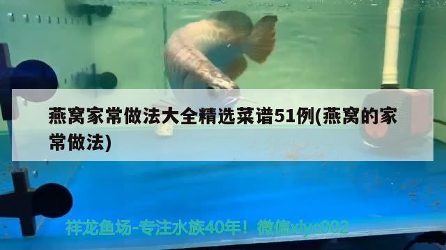 燕窩家常做法大全精選菜譜51例(燕窩的家常做法) 馬來西亞燕窩