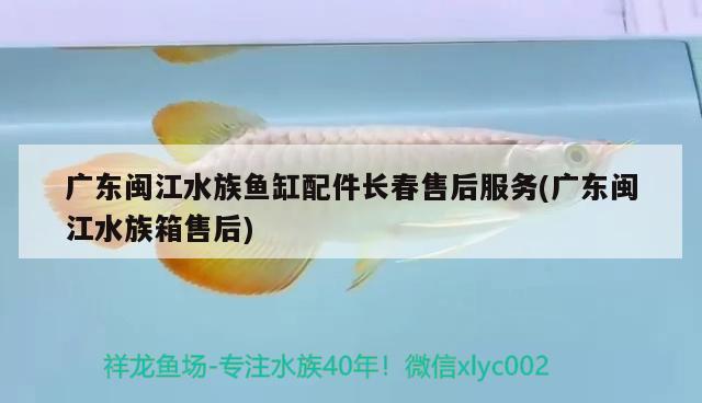 廣東閩江水族魚缸配件長春售后服務(wù)(廣東閩江水族箱售后) 魚缸/水族箱