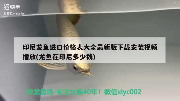 印尼龍魚(yú)進(jìn)口價(jià)格表大全最新版下載安裝視頻播放(龍魚(yú)在印尼多少錢(qián))