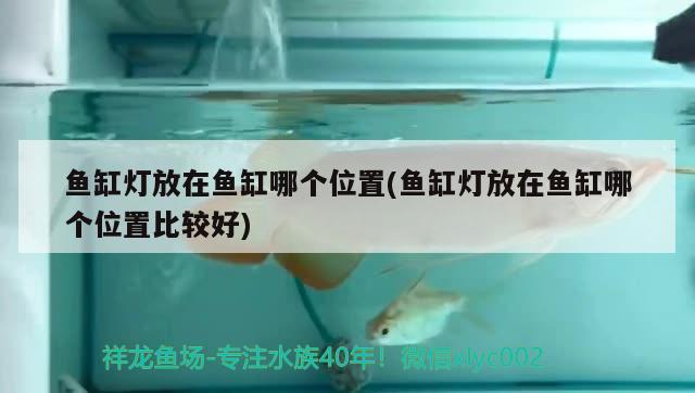 魚缸燈放在魚缸哪個(gè)位置(魚缸燈放在魚缸哪個(gè)位置比較好) 七紋巨鯉魚