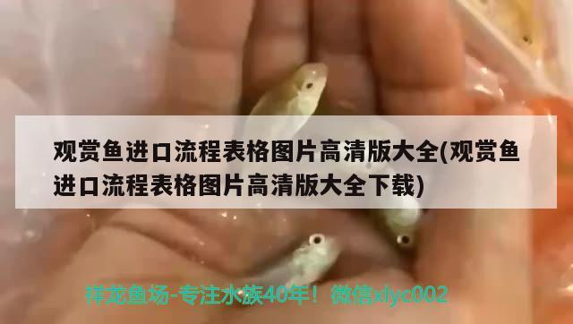 觀賞魚進(jìn)口流程表格圖片高清版大全(觀賞魚進(jìn)口流程表格圖片高清版大全下載) 觀賞魚進(jìn)出口