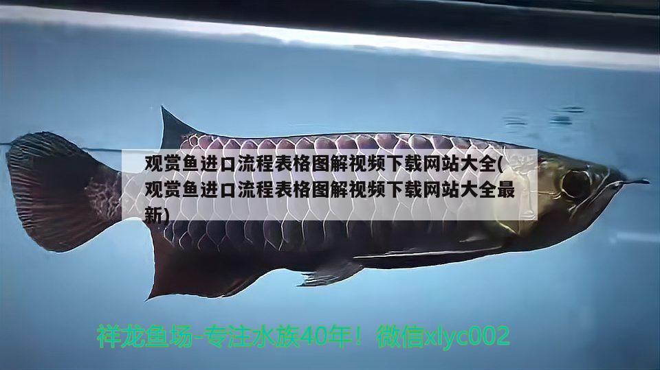 觀賞魚進(jìn)口流程表格圖解視頻下載網(wǎng)站大全(觀賞魚進(jìn)口流程表格圖解視頻下載網(wǎng)站大全最新) 觀賞魚進(jìn)出口