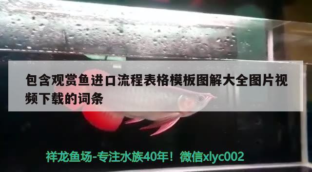 包含觀賞魚進口流程表格模板圖解大全圖片視頻下載的詞條