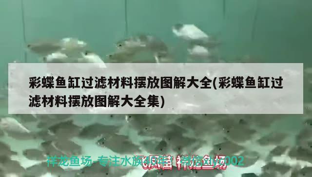 彩蝶魚缸過濾材料擺放圖解大全(彩蝶魚缸過濾材料擺放圖解大全集) 廣州水族器材濾材批發(fā)市場