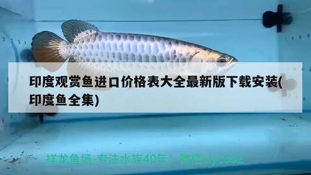 印度觀賞魚進(jìn)口價(jià)格表大全最新版下載安裝(印度魚全集) 觀賞魚進(jìn)出口