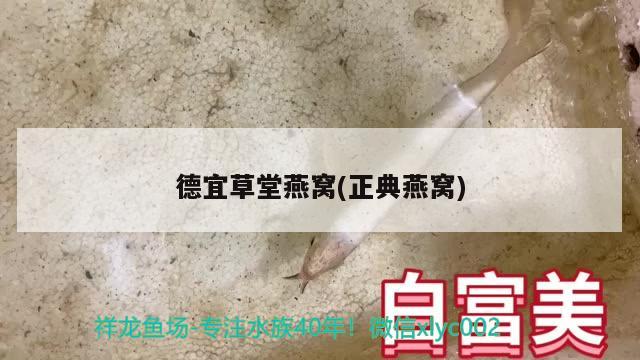 德宜草堂燕窩(正典燕窩) 馬來西亞燕窩