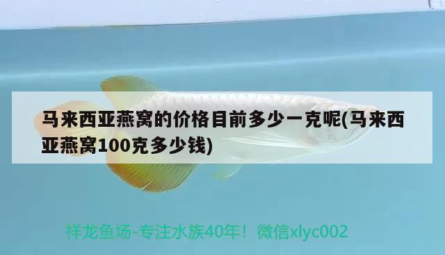 馬來西亞燕窩的價格目前多少一克呢(馬來西亞燕窩100克多少錢) 馬來西亞燕窩