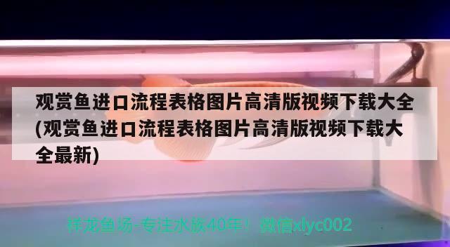 觀賞魚進(jìn)口流程表格圖片高清版視頻下載大全(觀賞魚進(jìn)口流程表格圖片高清版視頻下載大全最新)