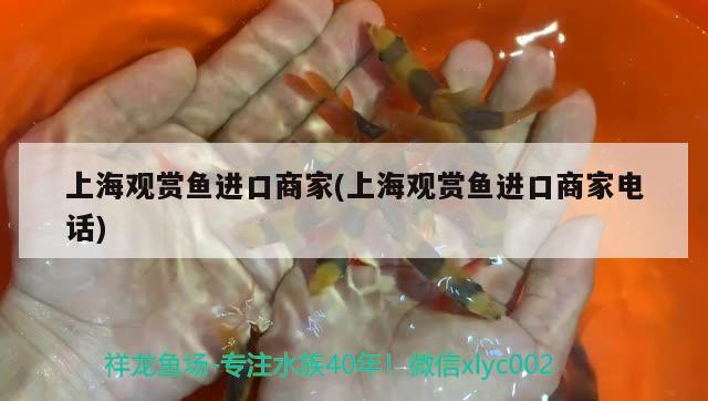 上海觀賞魚進(jìn)口商家(上海觀賞魚進(jìn)口商家電話)