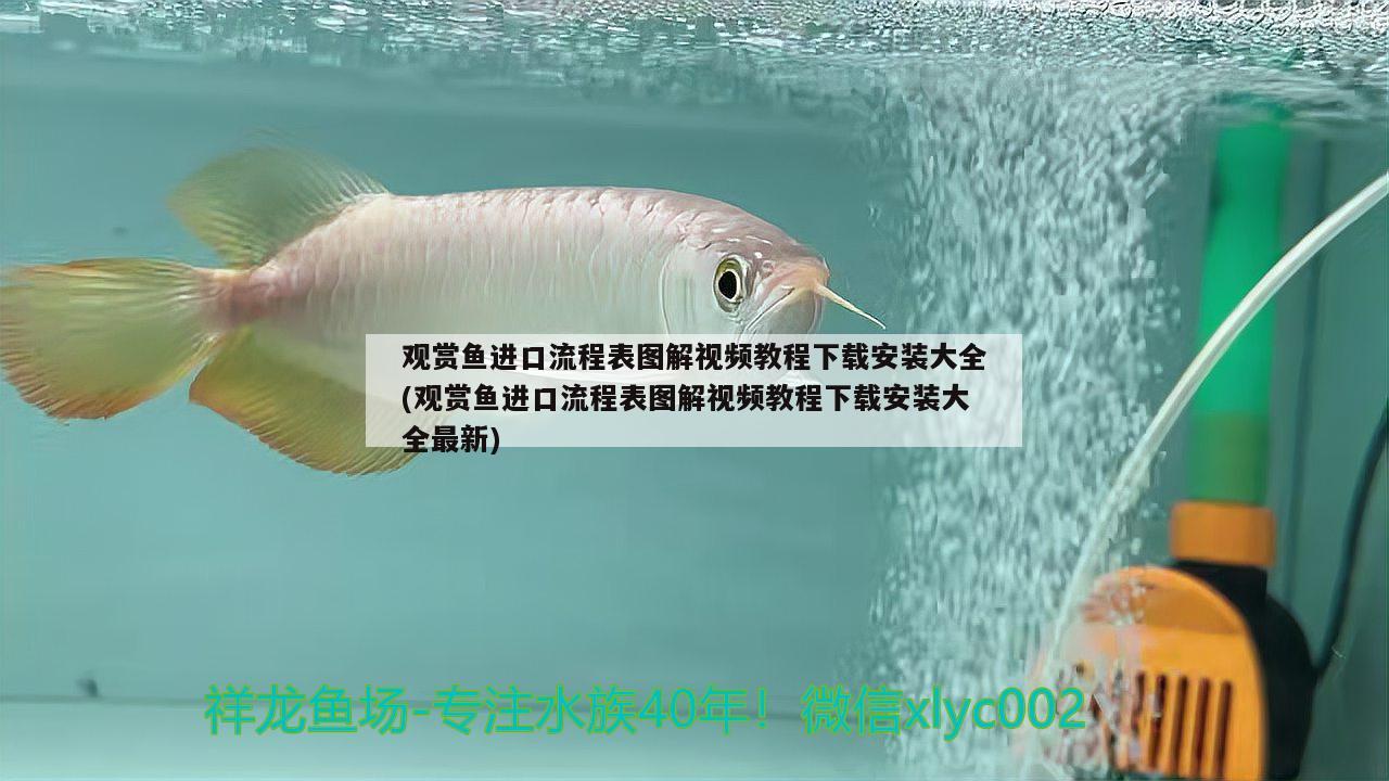 觀賞魚進(jìn)口流程表圖解視頻教程下載安裝大全(觀賞魚進(jìn)口流程表圖解視頻教程下載安裝大全最新)