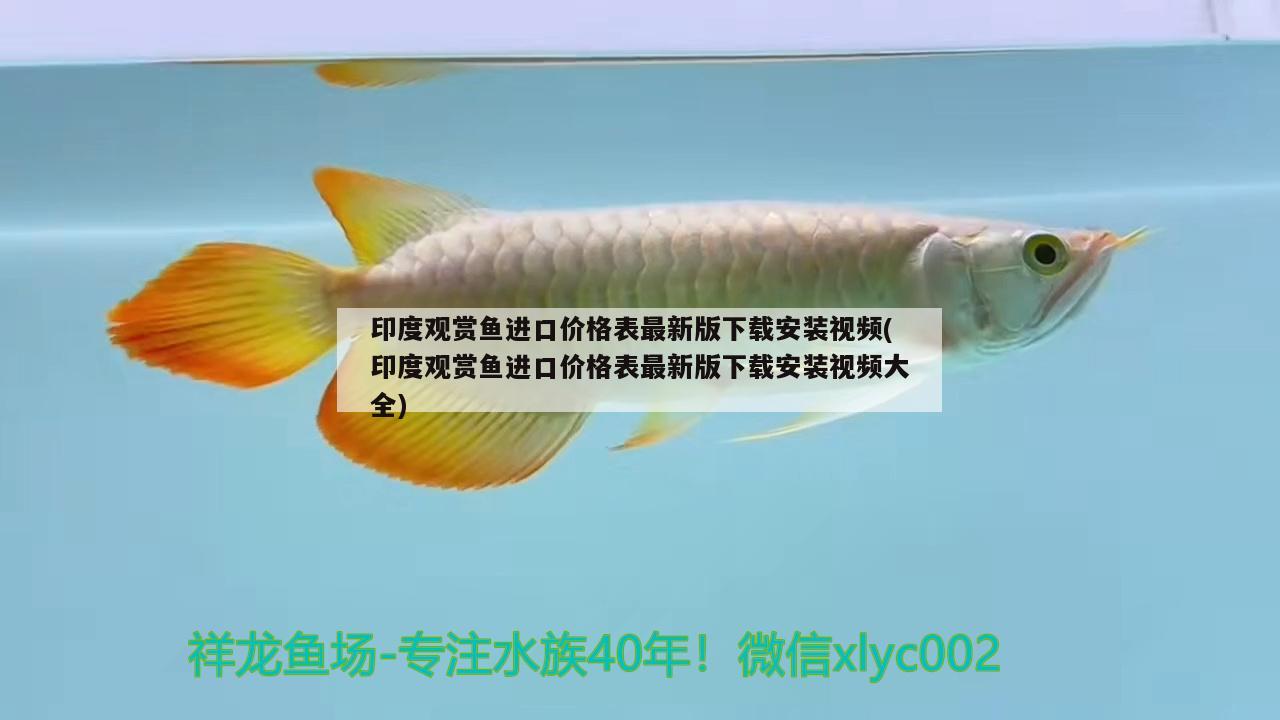 印度觀賞魚(yú)進(jìn)口價(jià)格表最新版下載安裝視頻(印度觀賞魚(yú)進(jìn)口價(jià)格表最新版下載安裝視頻大全)