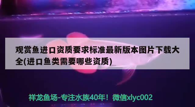 觀賞魚(yú)進(jìn)口資質(zhì)要求標(biāo)準(zhǔn)最新版本圖片下載大全(進(jìn)口魚(yú)類需要哪些資質(zhì))