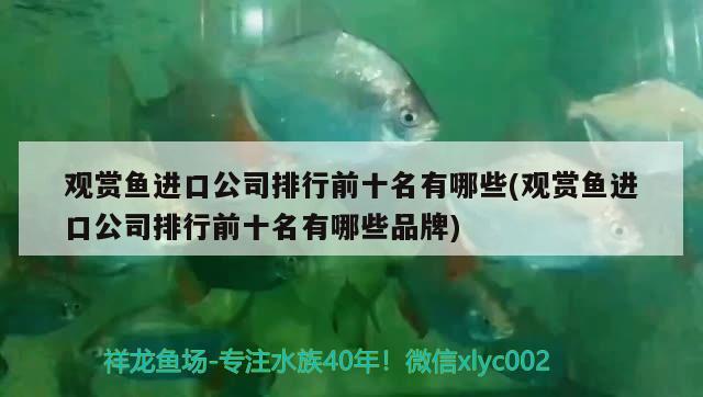 觀賞魚進口公司排行前十名有哪些(觀賞魚進口公司排行前十名有哪些品牌) 觀賞魚進出口