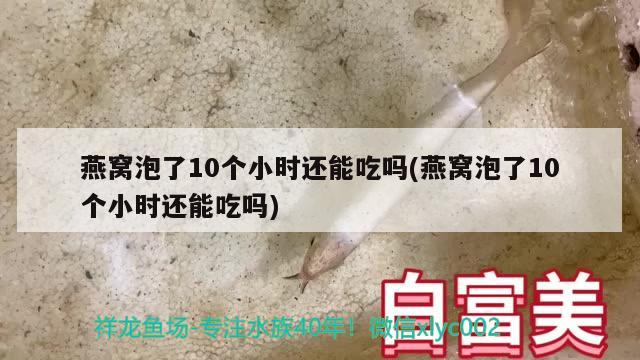 燕窩泡了10個(gè)小時(shí)還能吃嗎(燕窩泡了10個(gè)小時(shí)還能吃嗎) 馬來(lái)西亞燕窩