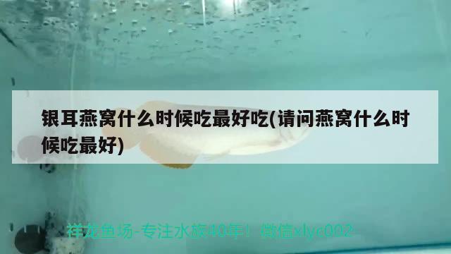 銀耳燕窩什么時候吃最好吃(請問燕窩什么時候吃最好) 馬來西亞燕窩