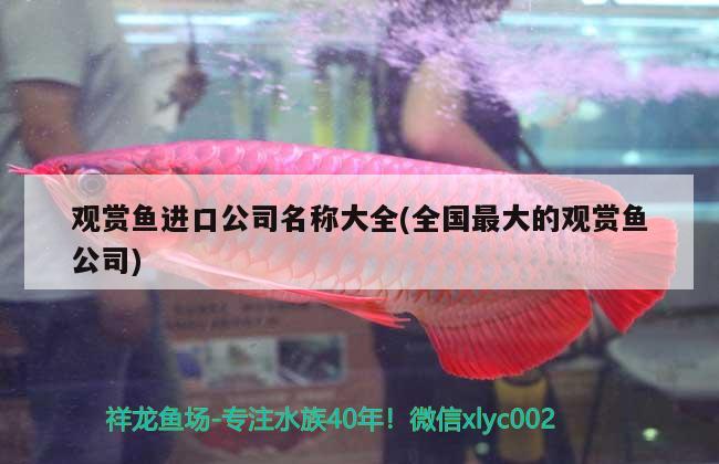 觀賞魚(yú)進(jìn)口公司名稱(chēng)大全(全國(guó)最大的觀賞魚(yú)公司)