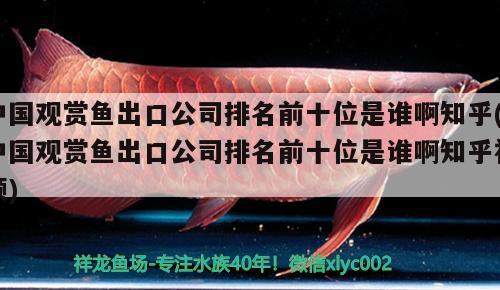 中國觀賞魚出口公司排名前十位是誰啊知乎(中國觀賞魚出口公司排名前十位是誰啊知乎視頻) 觀賞魚進(jìn)出口