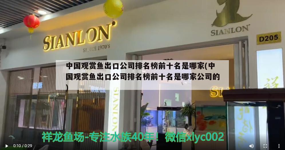 中國觀賞魚出口公司排名榜前十名是哪家(中國觀賞魚出口公司排名榜前十名是哪家公司的)