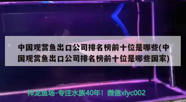 中國(guó)觀賞魚出口公司排名榜前十位是哪些(中國(guó)觀賞魚出口公司排名榜前十位是哪些國(guó)家)