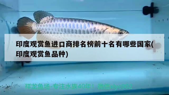 印度觀賞魚進口商排名榜前十名有哪些國家(印度觀賞魚品種)