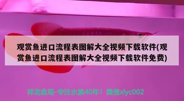 觀賞魚進口流程表圖解大全視頻下載軟件(觀賞魚進口流程表圖解大全視頻下載軟件免費)