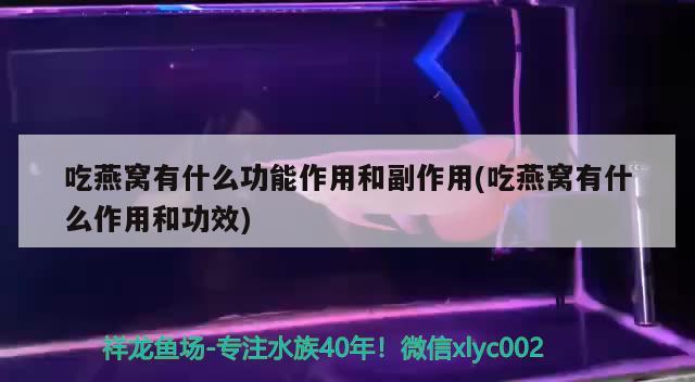 吃燕窩有什么功能作用和副作用(吃燕窩有什么作用和功效) 馬來西亞燕窩