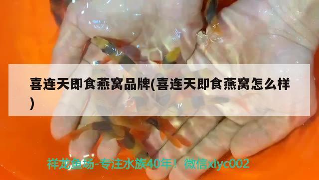 喜連天即食燕窩品牌(喜連天即食燕窩怎么樣) 馬來西亞燕窩