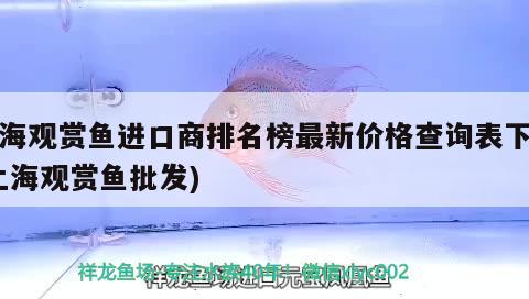 上海觀賞魚(yú)進(jìn)口商排名榜最新價(jià)格查詢表下載(上海觀賞魚(yú)批發(fā)) 觀賞魚(yú)進(jìn)出口