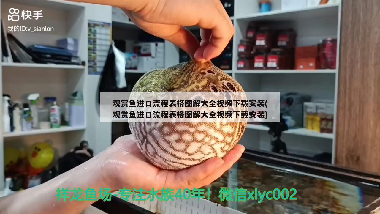 觀賞魚進(jìn)口流程表格圖解大全視頻下載安裝(觀賞魚進(jìn)口流程表格圖解大全視頻下載安裝) 觀賞魚進(jìn)出口