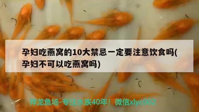 孕婦吃燕窩的10大禁忌一定要注意飲食嗎(孕婦不可以吃燕窩嗎) 馬來西亞燕窩