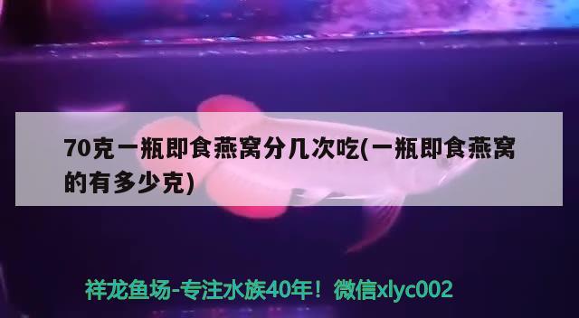 70克一瓶即食燕窩分幾次吃(一瓶即食燕窩的有多少克) 馬來西亞燕窩