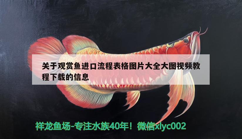 關(guān)于觀賞魚進(jìn)口流程表格圖片大全大圖視頻教程下載的信息