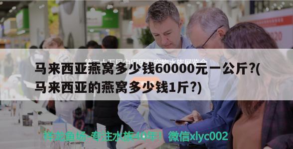 馬來(lái)西亞燕窩多少錢(qián)60000元一公斤?(馬來(lái)西亞的燕窩多少錢(qián)1斤?) 馬來(lái)西亞燕窩