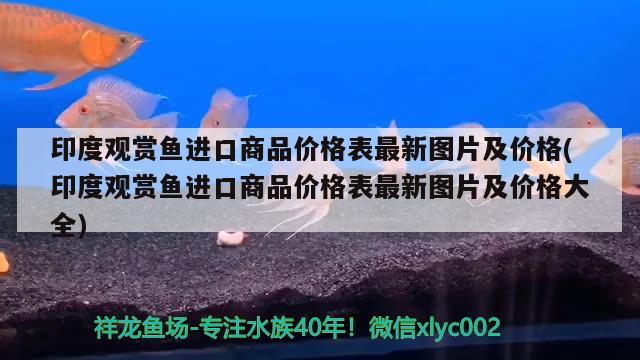 印度觀賞魚進(jìn)口商品價(jià)格表最新圖片及價(jià)格(印度觀賞魚進(jìn)口商品價(jià)格表最新圖片及價(jià)格大全) 觀賞魚進(jìn)出口