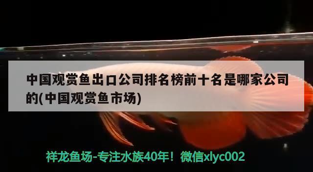 中國觀賞魚出口公司排名榜前十名是哪家公司的(中國觀賞魚市場) 觀賞魚進出口