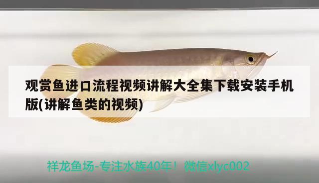 觀賞魚(yú)進(jìn)口流程視頻講解大全集下載安裝手機(jī)版(講解魚(yú)類(lèi)的視頻) 觀賞魚(yú)進(jìn)出口