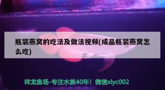 瓶裝燕窩的吃法及做法視頻(成品瓶裝燕窩怎么吃) 馬來西亞燕窩