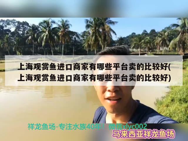 上海觀賞魚進(jìn)口商家有哪些平臺賣的比較好(上海觀賞魚進(jìn)口商家有哪些平臺賣的比較好)