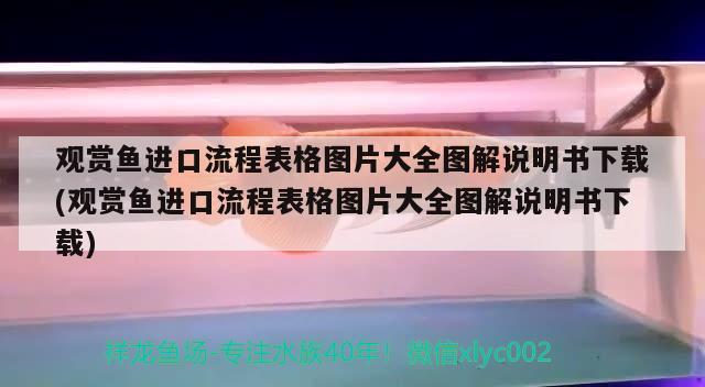 觀賞魚進口流程表格圖片大全圖解說明書下載(觀賞魚進口流程表格圖片大全圖解說明書下載) 觀賞魚進出口