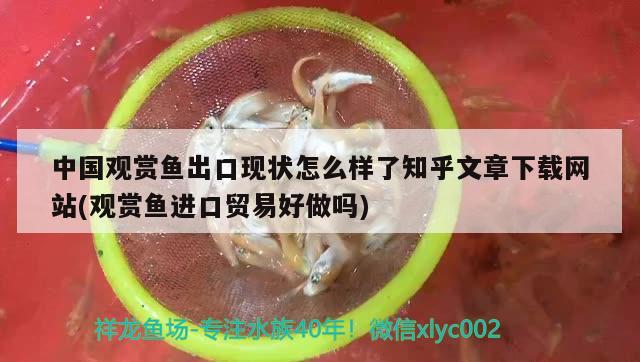 中國(guó)觀賞魚(yú)出口現(xiàn)狀怎么樣了知乎文章下載網(wǎng)站(觀賞魚(yú)進(jìn)口貿(mào)易好做嗎) 觀賞魚(yú)進(jìn)出口