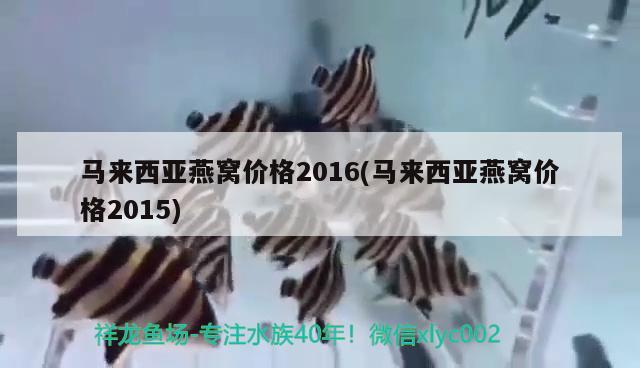 馬來西亞燕窩價格2016(馬來西亞燕窩價格2015)